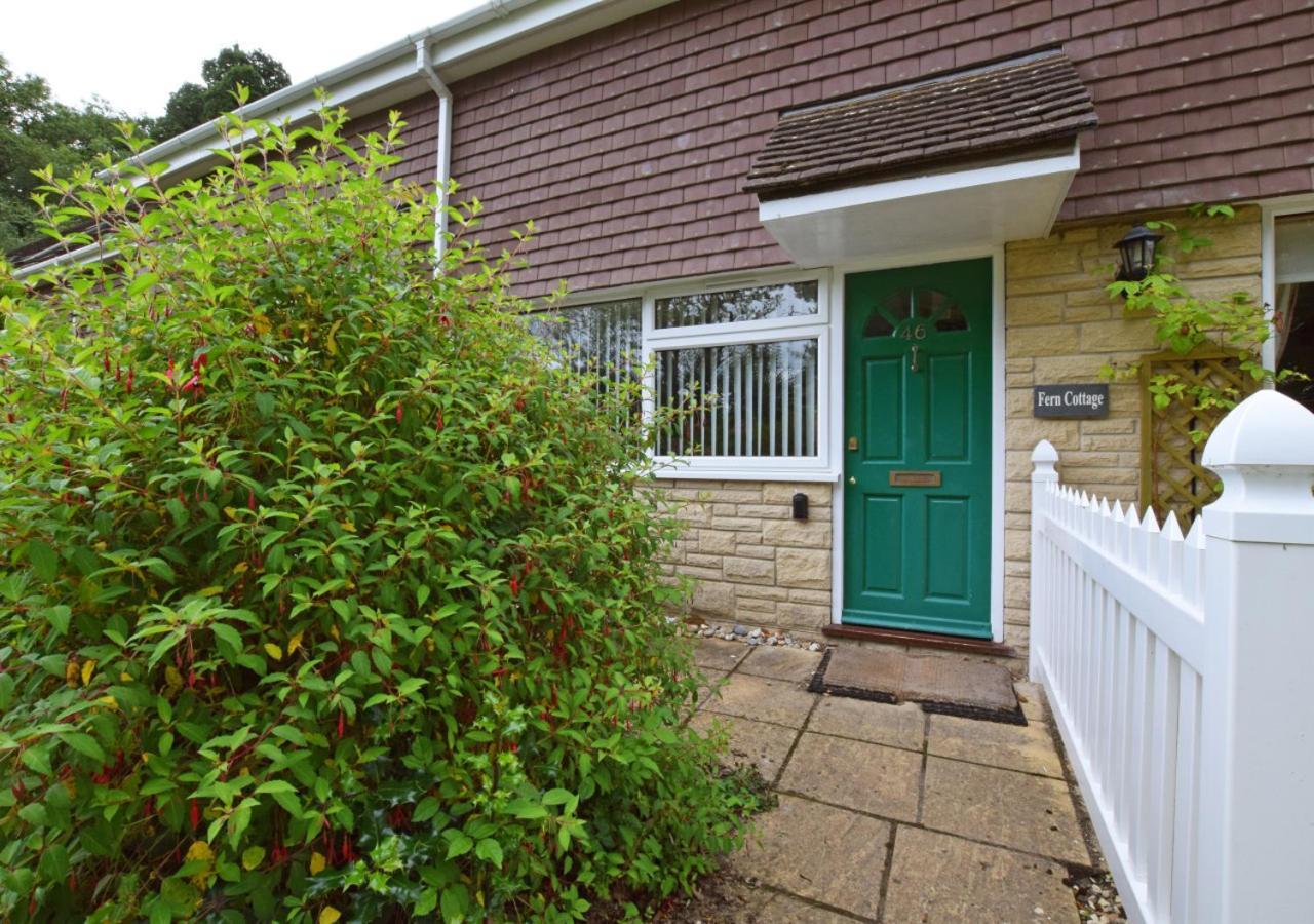 Fern Cottage Charmouth Exteriör bild